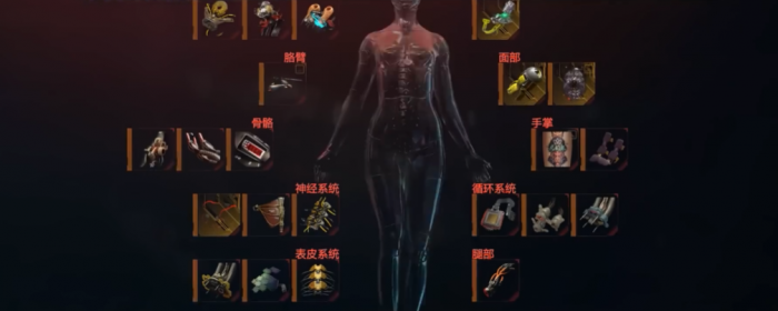 赛博朋克2077初期加点怎么加1