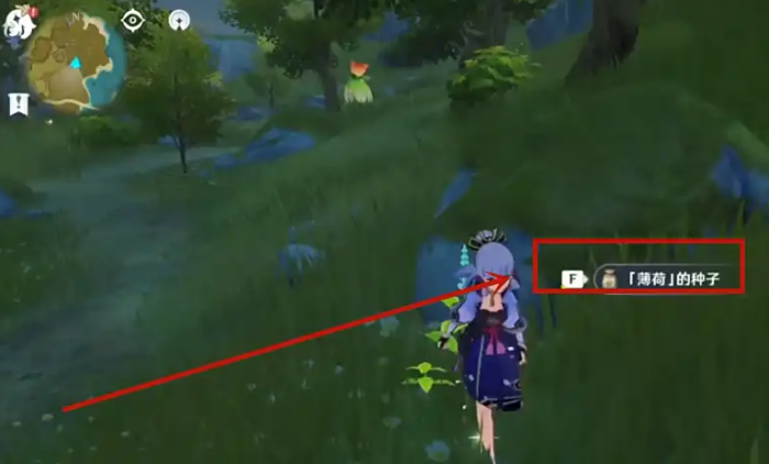 原神怎么才能捡到种子2