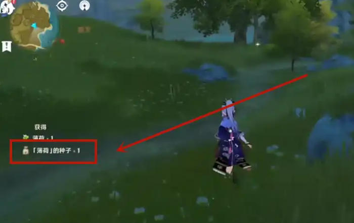 原神怎么才能捡到种子3