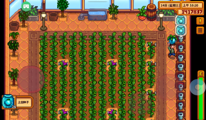 星露谷物语第二年怎么刷钱1