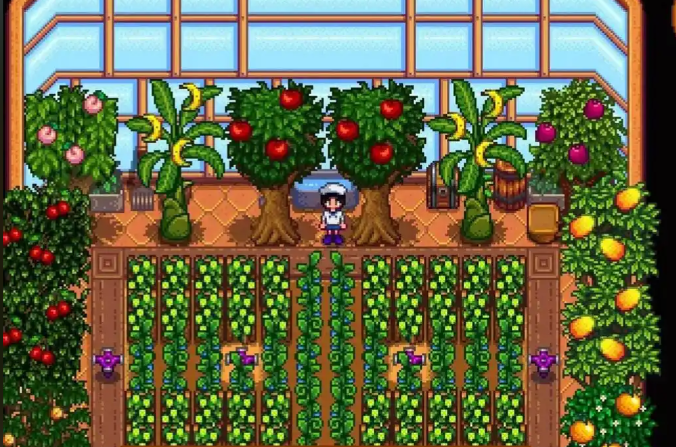 星露谷物语稀有种子怎么种1