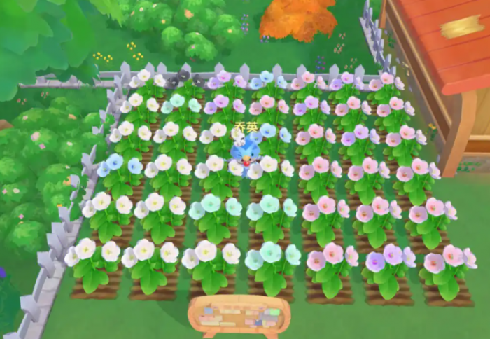 摩尔庄园青瓜怎么种植2