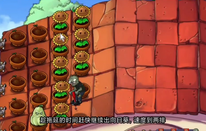 植物大战僵尸跳跳派对怎么过1