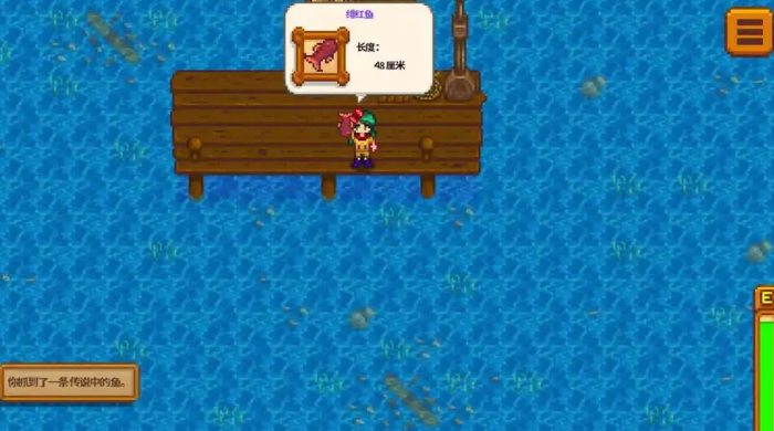 星露谷物语钓鱼有什么技巧2