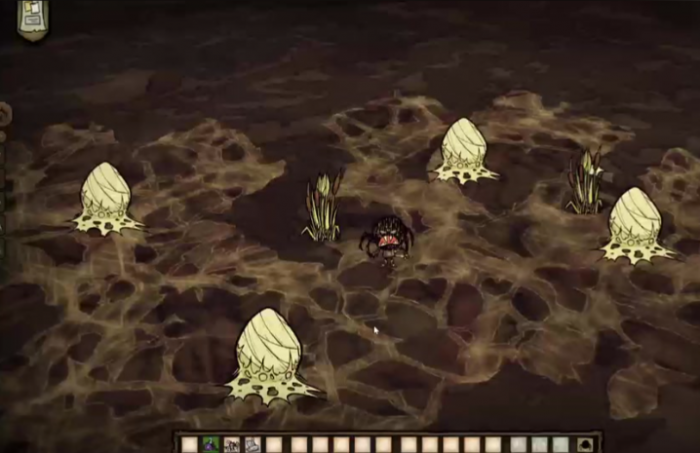 饥荒蜘蛛帽对白蜘蛛有用吗3