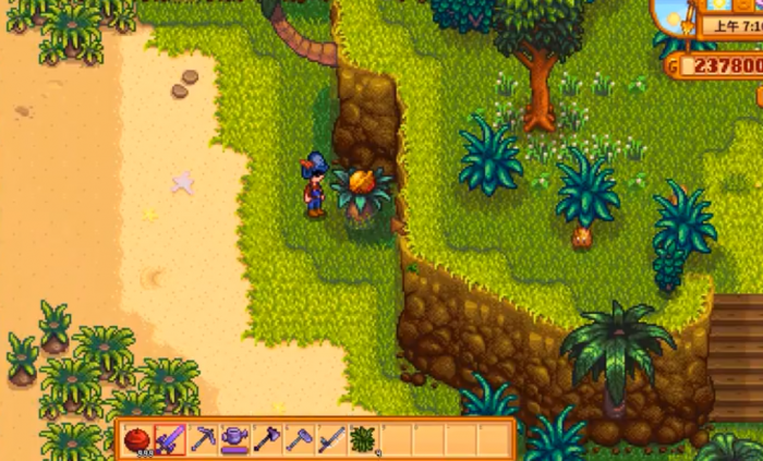 星露谷物语姜岛核桃怎么拿1