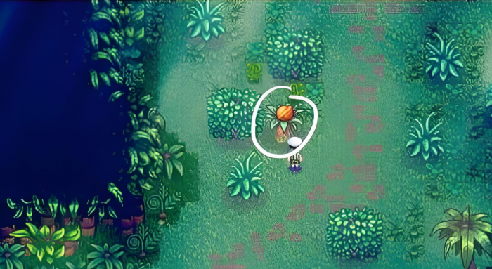 星露谷物语姜岛核桃怎么拿2