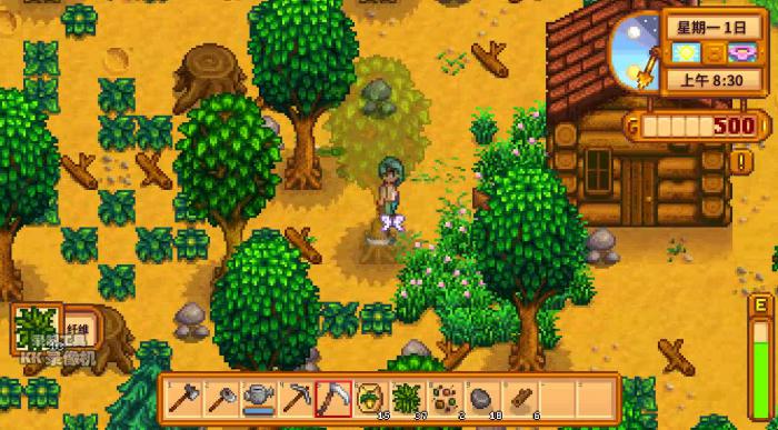 星露谷物语背包怎么扩大1