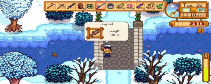 星露谷物语姜岛需要带什么2