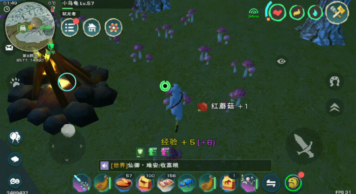 创造与魔法蓝蜥蜴怎么抓