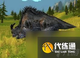 阿兰其亚在_阿兰其亚多久刷新 阿兰其亚在_阿兰其亚多久刷新