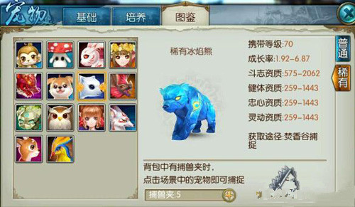 诛仙手游宠物稀有冰焰熊技能玉如何搭配1