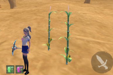 创造与魔法玉米位置在哪 创造与魔法玉米食谱汇总介绍