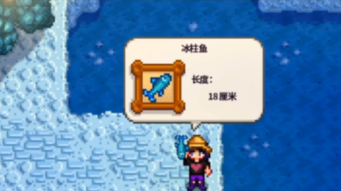 星露谷物语冬季的鱼有哪些1