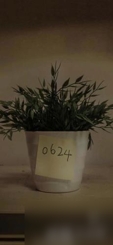 记忆重构第三章困兽全攻略 关卡密码图文汇总大全