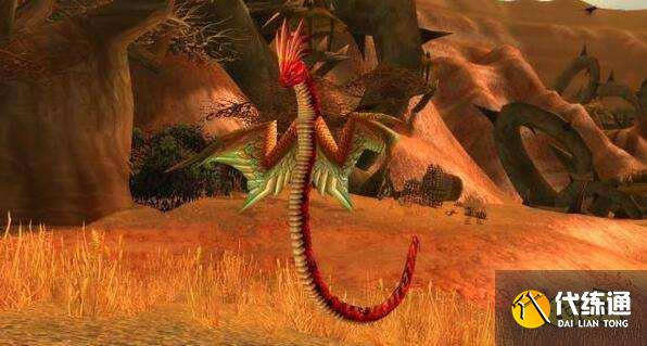 风蛇哪里抓_风蛇去哪里抓 风蛇哪里抓_风蛇去哪里抓