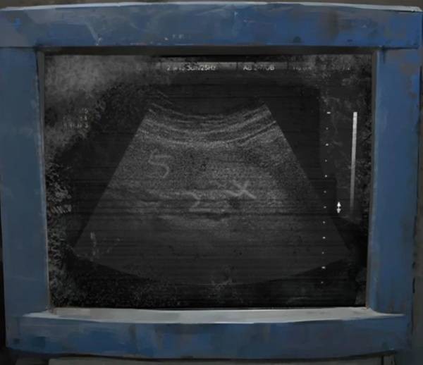 《纸嫁衣8千子树》第一章夜盲超详细解谜攻略11