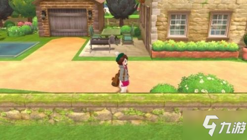 宝可梦剑盾DLC冠之雪原流程攻略 宝可梦剑盾冠之雪原怎么通关