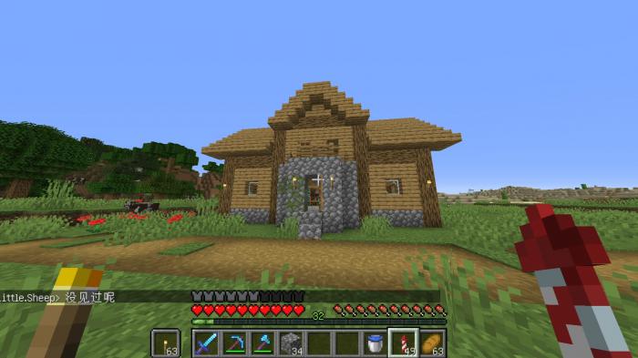 我的世界如何建造村庄住宅1